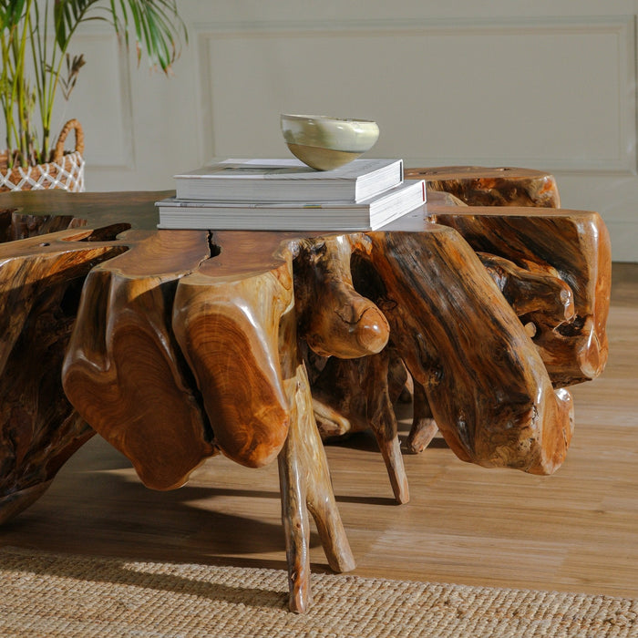 DELYAR TEAK ROOT COFFEE TABLE