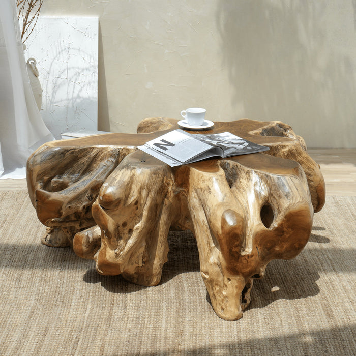 DELYAR TEAK ROOT COFFEE TABLE