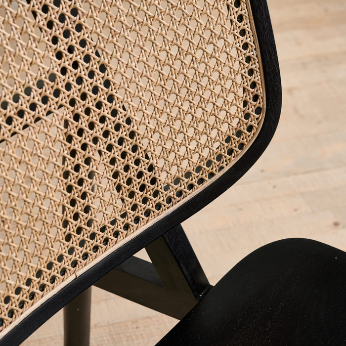 FRANCESCA LOUNGE CHAIR
