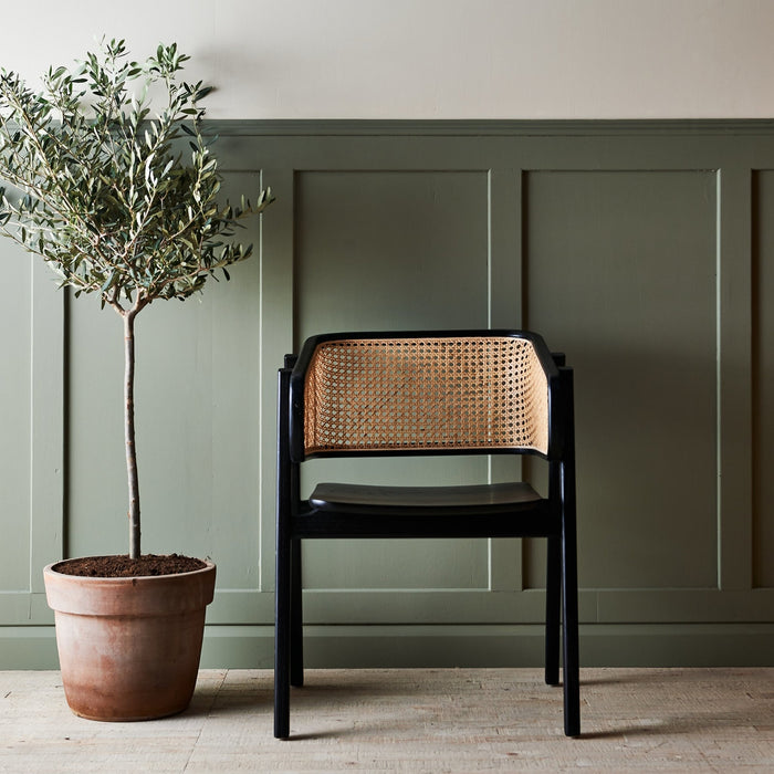 MARLON DINING CHAIR