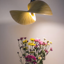 BAMBOO HANGING LAMP