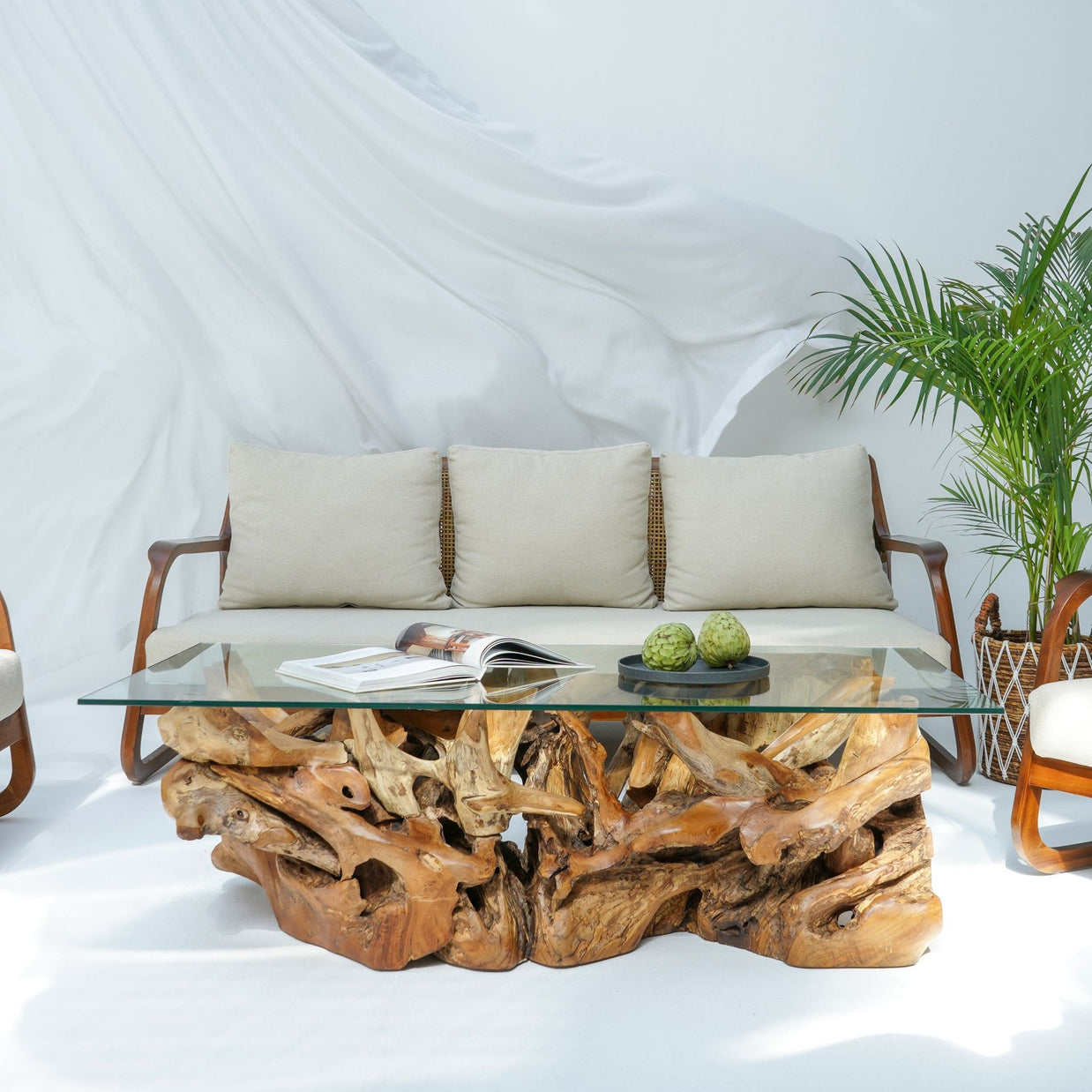 Luxury teak root coffee table UAE homes