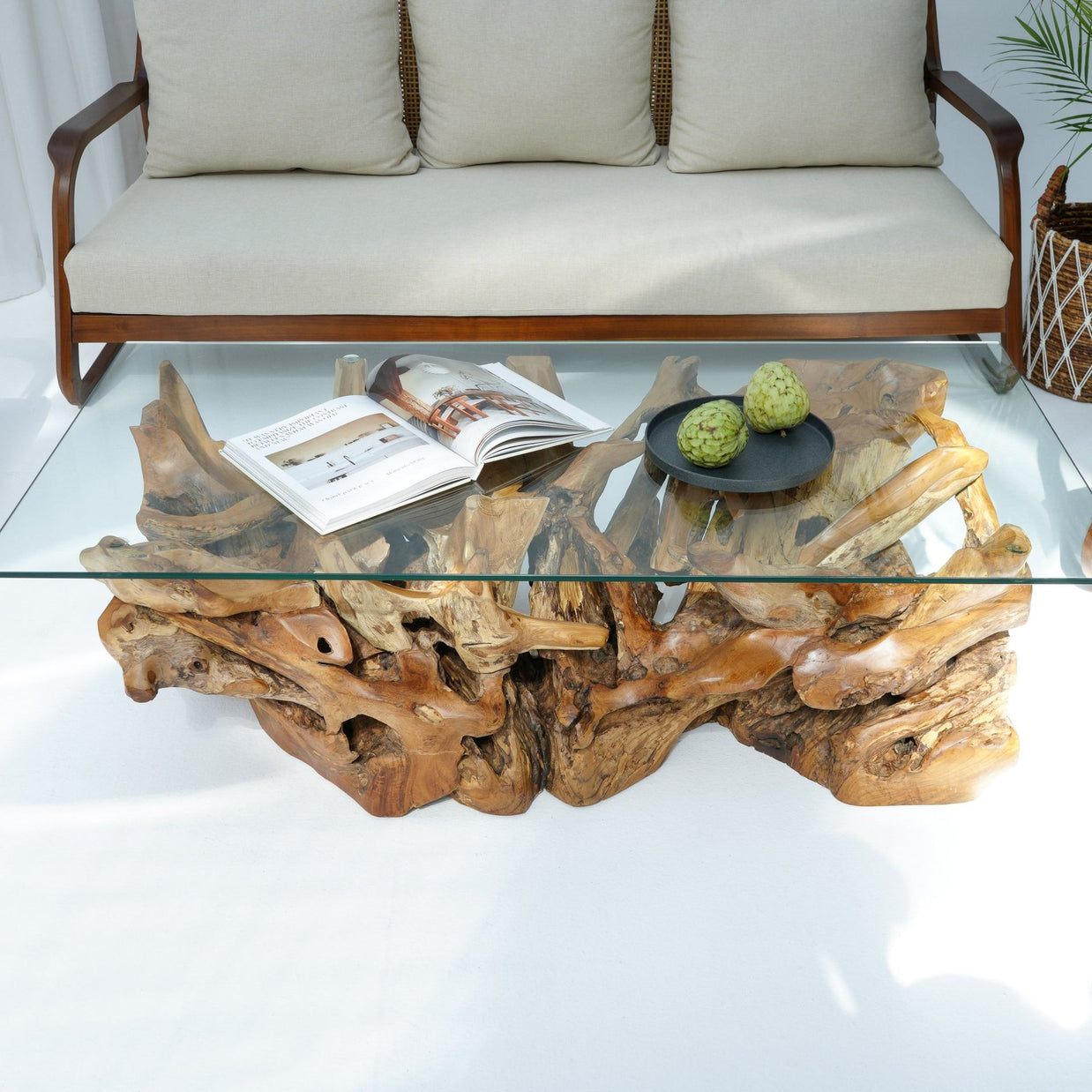 Round teak root coffee table with tempered glass