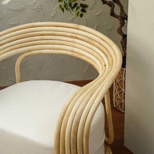 BONITA ARM CHAIR