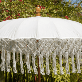 UMBRELLA ALBASIA POLE