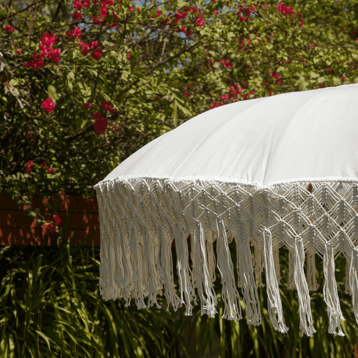 UMBRELLA ALBASIA POLE