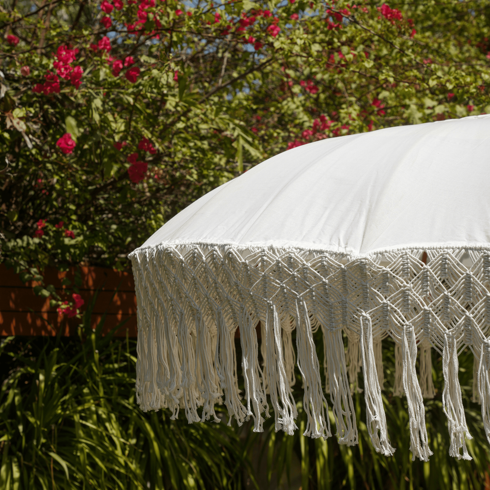 UMBRELLA ALBASIA POLE