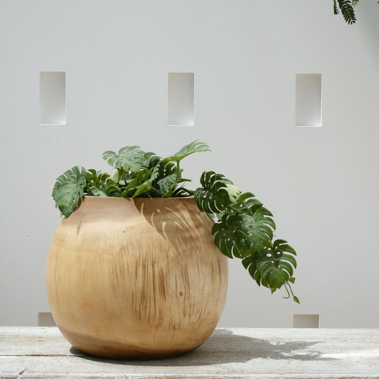 مزهرية سوار (مجموعة من قطعتين)