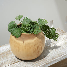 مزهرية سوار (مجموعة من قطعتين)