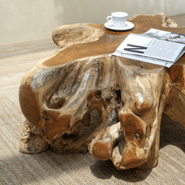Luxury teak root coffee table for UAE homes