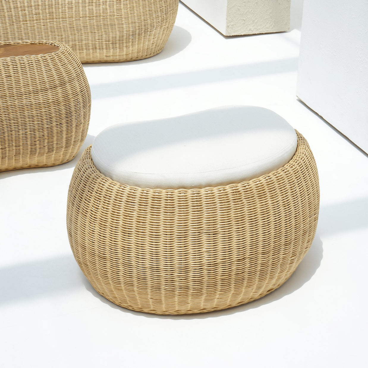 هارينغتون بوف