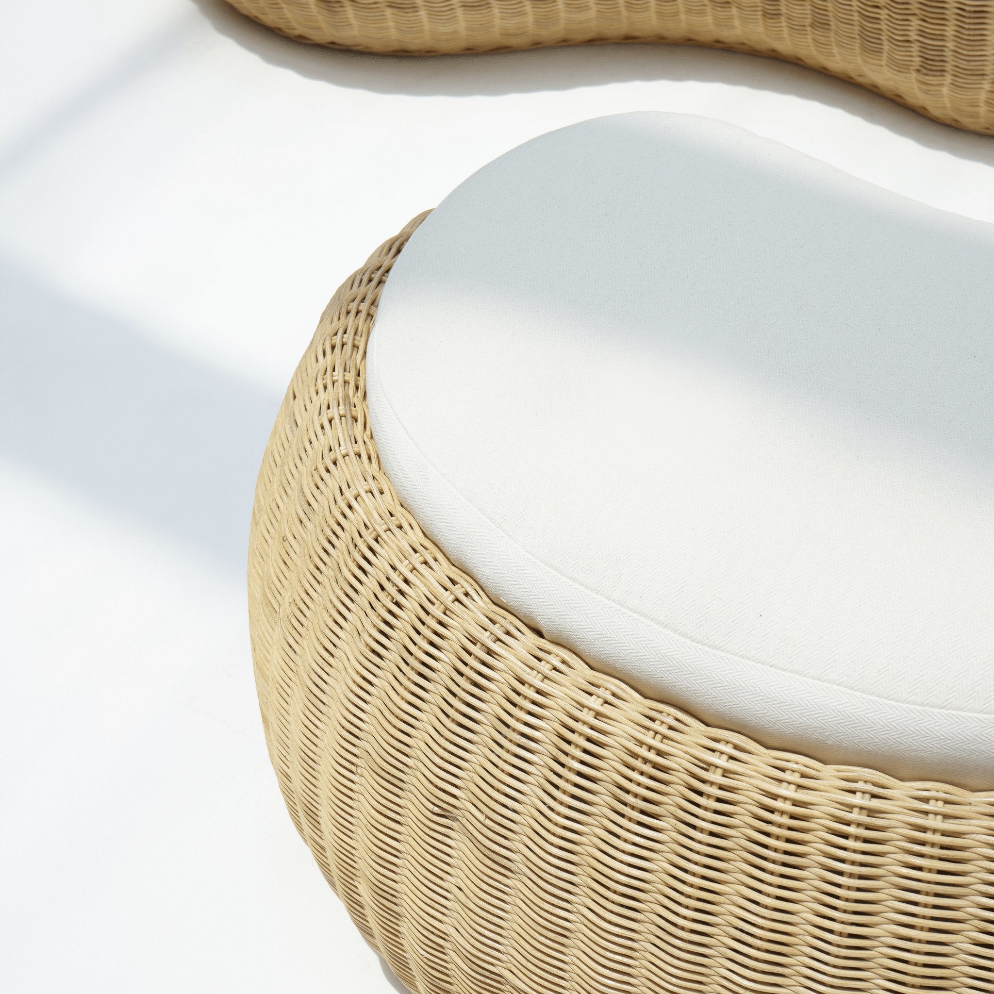 هارينغتون بوف