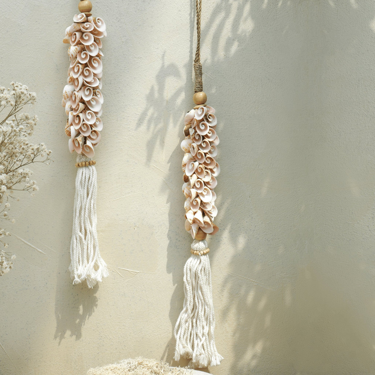 TASSEL SHELL