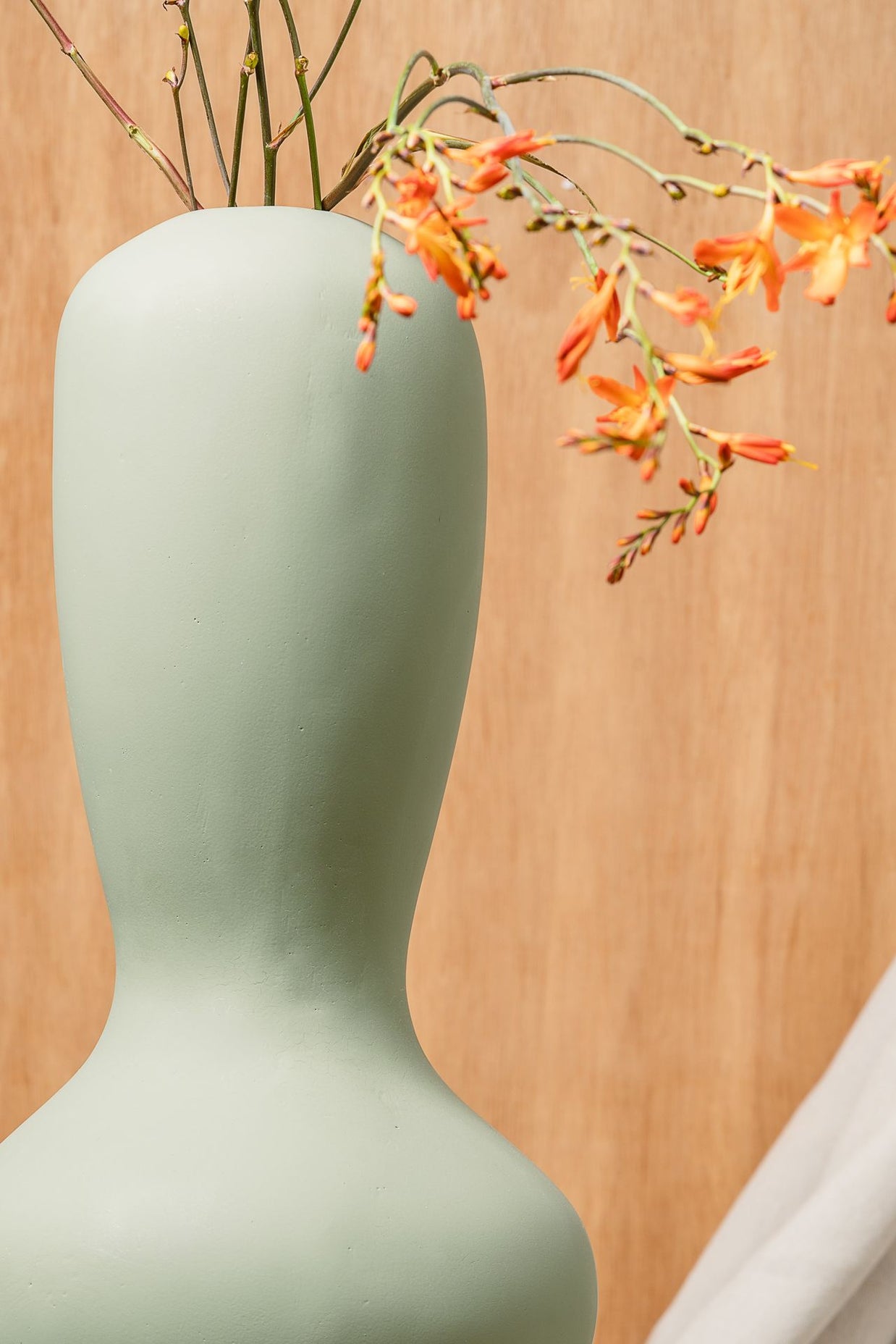 مزهرية ليديون