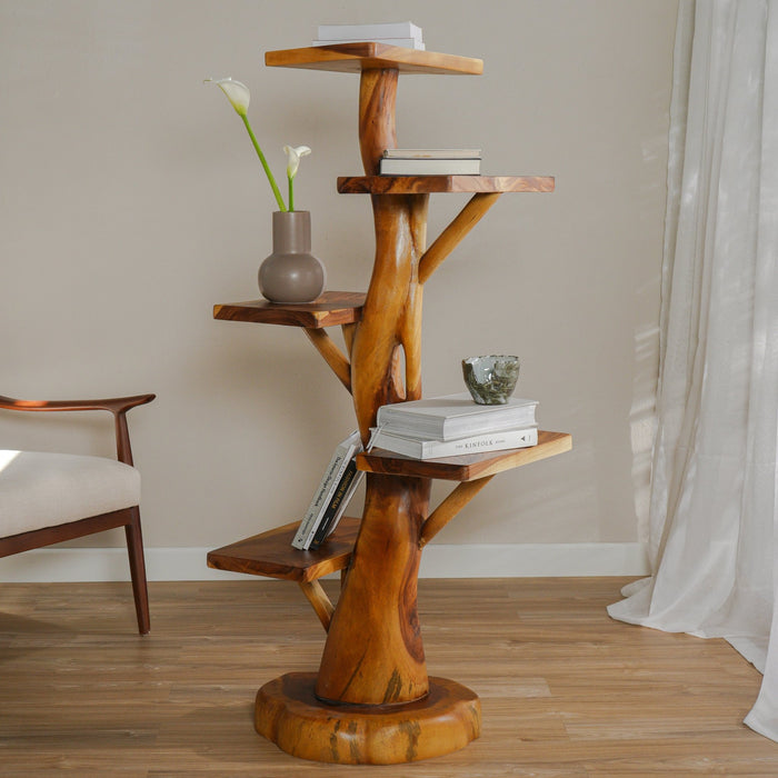 Teak Display Shelf