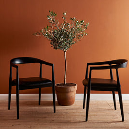 LIBERTY DINING CHAIR